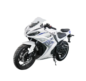 Electric Racing Motorcycle Selection Guide WISS SIE?