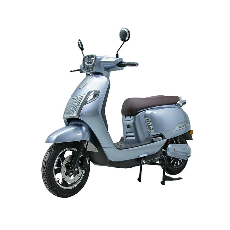 Elektrisches Motorrad für Erwachsene 10 Zoll 800 W Motorrad